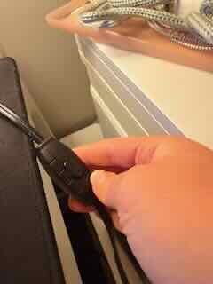 Development of primary structural elements.